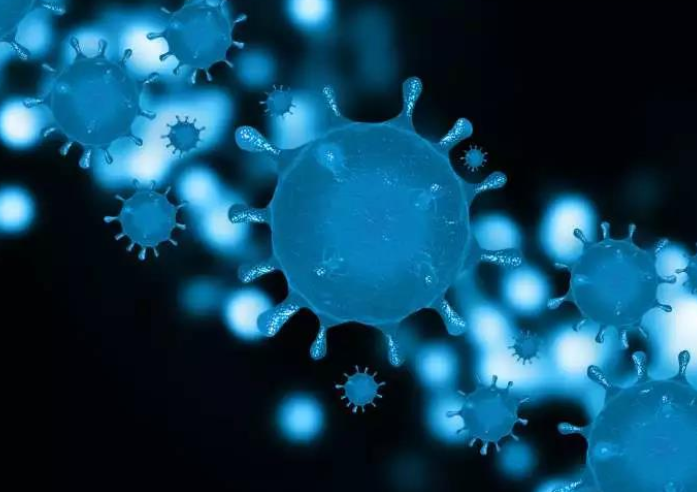 新冠病毒更喜歡脂肪嗎？肥胖人群是不是更容易感染新冠？